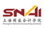 Shanghai National Accounting Institute · Shanghai